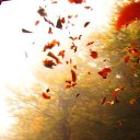 ���� ��������, ������, 44 ���� - ��������� 24 �������� 2014 � ������ ���� ����������