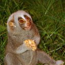 ���� ���������, ����-���������, 47 ��� - ��������� 3 �������� 2014 � ������ ���� ����������