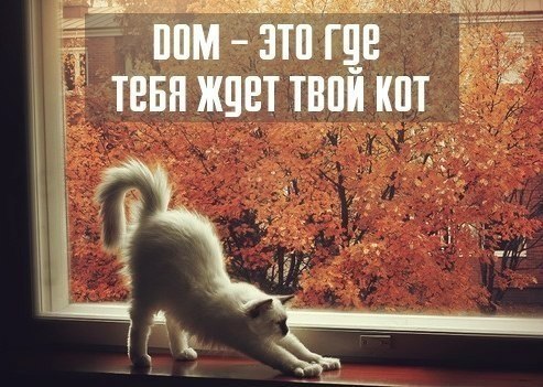       - 21  2014  12:03