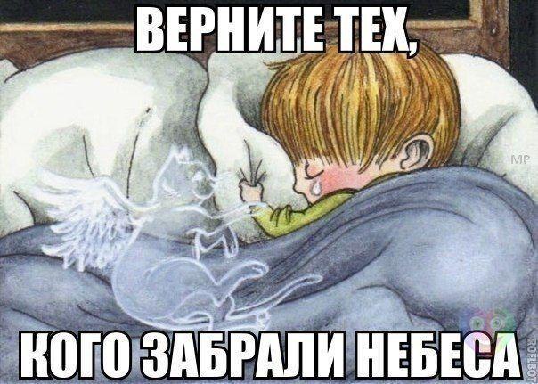 Art & Fun - 17  2014  11:22