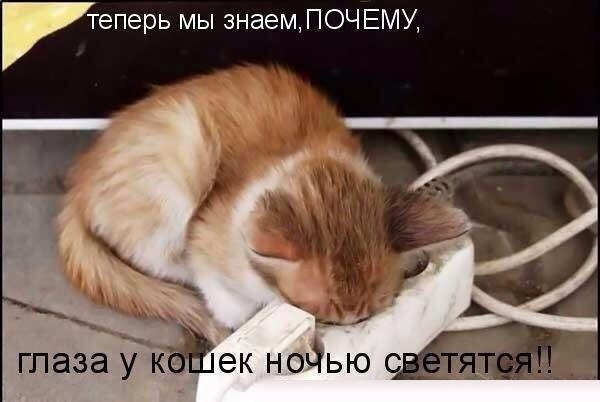    :-) - 8  2014  20:03
