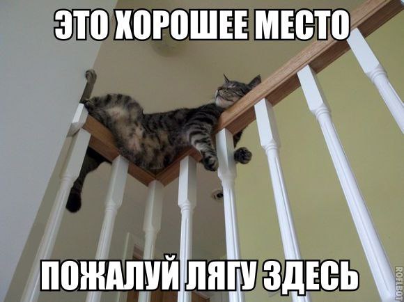       - 28  2014  16:03