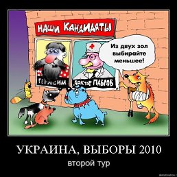 ����, ����, 37 ���