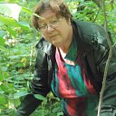 � ������ ������...