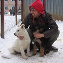 ���� �����, ������, 43 ���� - ��������� 30 ������� 2014 � ������ ���� ����������