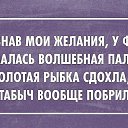 ���� �������, ���������, 47 ��� - ��������� 9 ������ 2014 � ������ ������ ��������