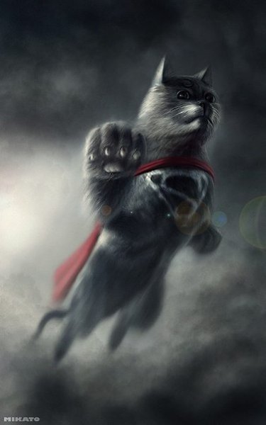 Серия “Кошки-супергерои“ по мотивам героев комиксов Marvel.Художника под ником Mikato - 2