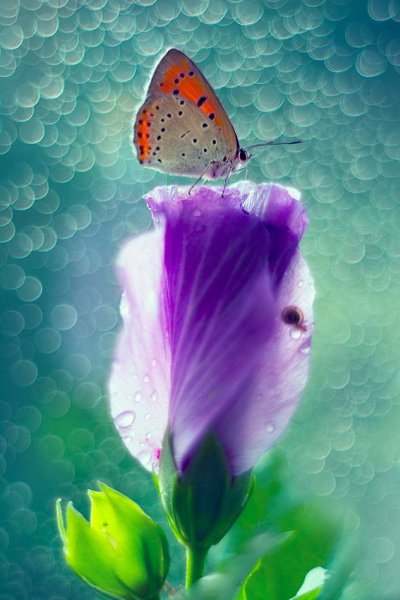 Свобода — классная штука, но иногда хочется поменять ее на счастье. - 4