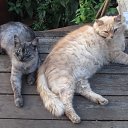 ���� ������, ��� - ��������� 25 �������� 2014 � ������ ������ ��������