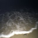 ���� ����, ���������, 33 ���� - ��������� 12 ������ 2014 � ������ ������ ��������