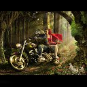 ���� �������, ����������� - ��������� 8 �������� 2014 � ������ ������ ��������