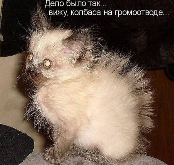 ,  !!! <a href=