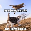 ���� �����, ����� - ��������� 15 �������� 2014 � ������ ������ ��������