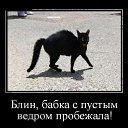 ���� (����������), ����-��������� - ��������� 16 ������ 2014 � ������ ������ ��������
