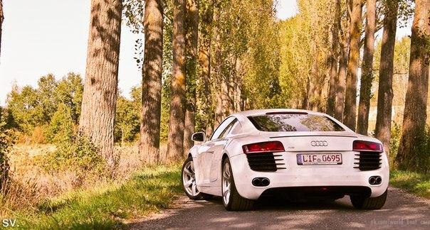 All White Audi R8. - 2