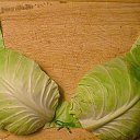 ���� �������, ������� - ��������� 13 ������� 2014 � ������ ������ ��������