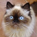 ���� ������� ������� (�� �� ����� � �������) �� ������� ���� ����������