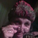  , , 80  -  31  2014      .