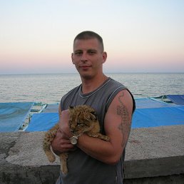 ���� �������, ��������, 44 ���� - ��������� 29 ������ 2014