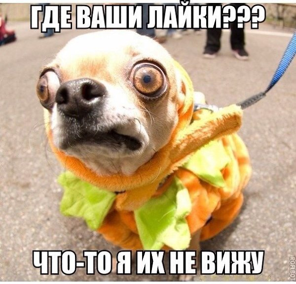    :D - 2  2014  13:51