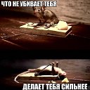 ���� ����������, ���������, 41 ��� - ��������� 29 ������ 2014 � ������ ������ ��������