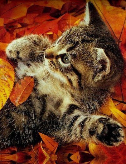   : http://fotostrana.ru/public/233467 ;-)      ... - 6