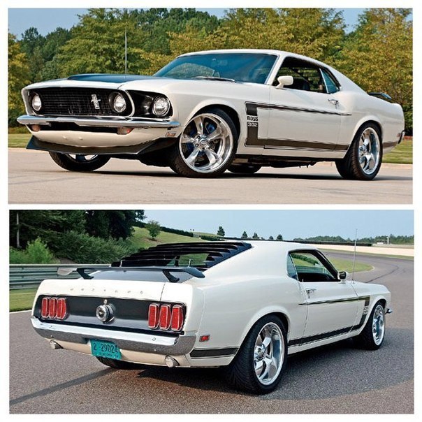 Mustang - 8