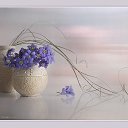 ���� �����, ��������� - ��������� 19 ������� 2014 � ������ ��� �� �����