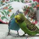 ������� ���� ����� ������ �� ������� ���� ����������