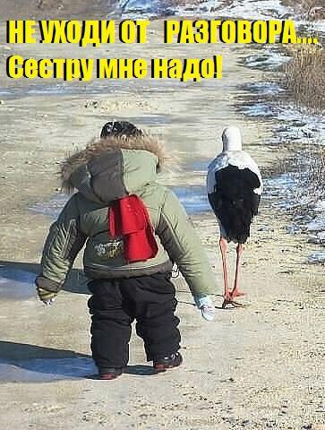 Art & Fun - 18  2014  19:49