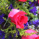 ���� Serg, ������, 66 ��� - ��������� 29 ������ 2014 � ������ ���� ����!!!�