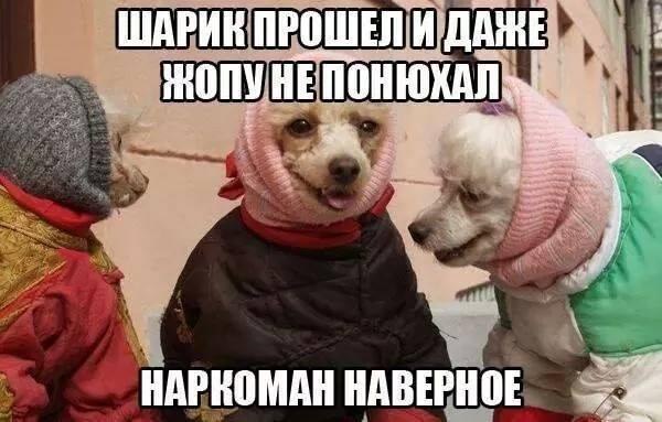  - 18  2014  20:22
