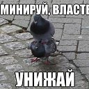 ���� ���������, ����������, 34 ���� - ��������� 17 ������ 2014 � ������ ������ ��������