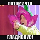 ���� ����, ��������, 22 ���� - ��������� 19 ������� 2014 � ������ ���� ����������