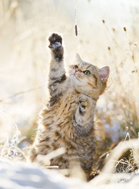       - 7  2014  22:34 - 4