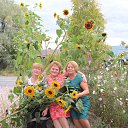 ���� �����, ���������� - ��������� 26 ������� 2014