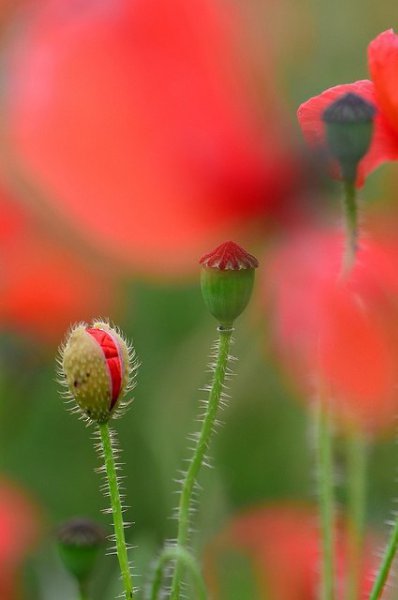 Жизнь — не там, где много машин и денег… Там жизнь, где люди, которые искренне тебя любят и очень ... - 6
