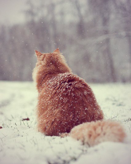       - 12  2014  23:02 - 5