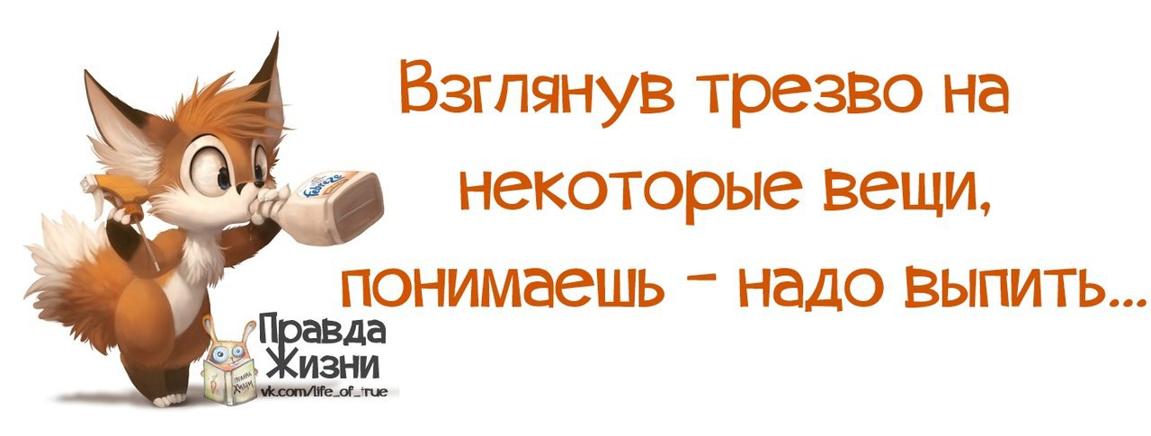 Надо запивать. Правда жизни. Взглянув трезво на некоторые вещи понимаешь надо выпить. Правда жизни надпись. Надо срочно выпить.