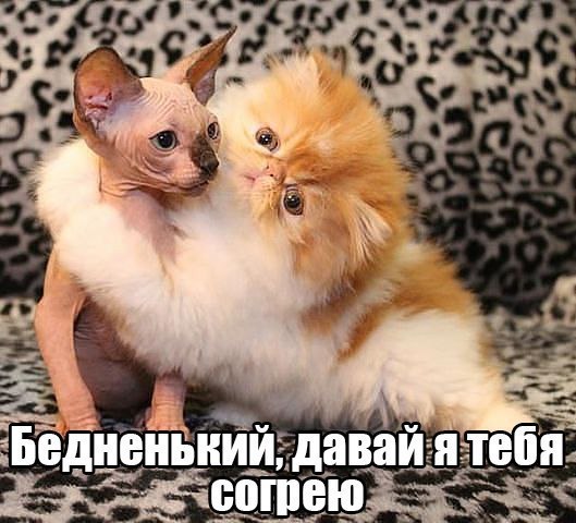 ������ - 26 ������� 2014 � 01:58