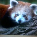 ���� ������, ������, 46 ��� - ��������� 29 ������� 2014 � ������ ���������