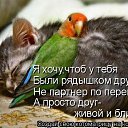���� ������� (���� 95 ��-, ������, 45 ��� - ��������� 8 ������� 2014 � ������ ������ ��������