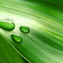 ���� �������, ������, 56 ��� - ��������� 17 �������� 2014 � ������ ���� ����������