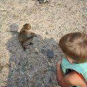 ���� �������, ������, 48 ��� - ��������� 4 ������� 2014 � ������ ���� ����������