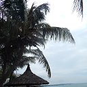  , , 47  -  11  2014    2014