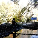 ���� �������, ���������� - ��������� 12 ������� 2014 � ������ ���� ����������