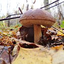  , , 60  -  28  2014     (    )