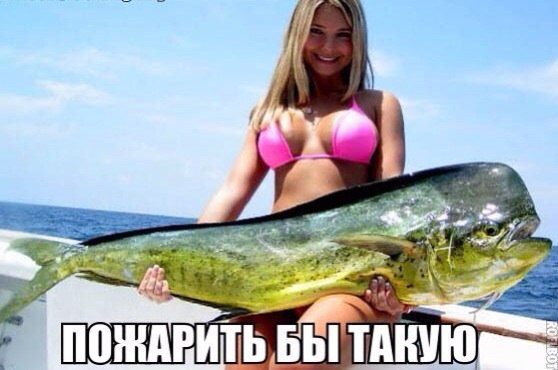 ����� ������� - 11 ������ 2014 � 10:33 - 2