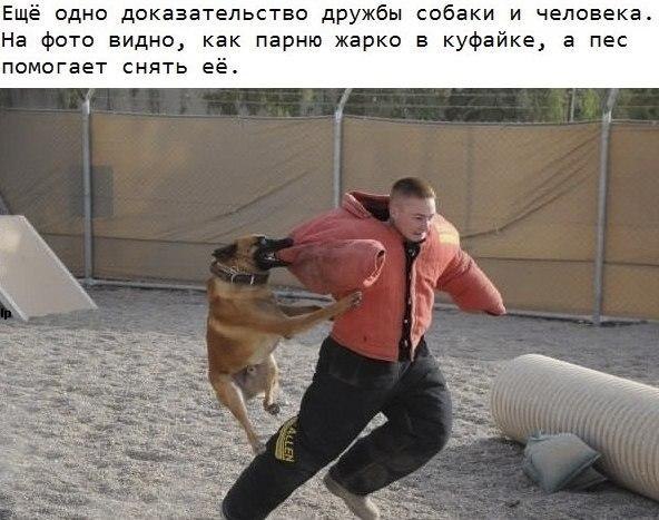  - 27  2014  21:29