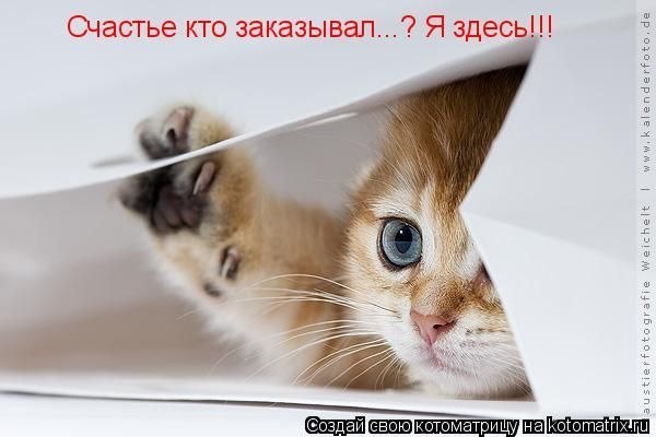       - 7  2014  04:04